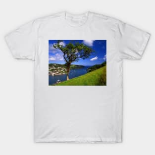 River Dart Estuary & Kingswear T-Shirt